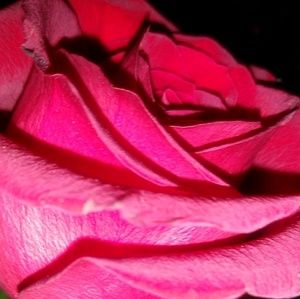 Meet your Posher, Rubi